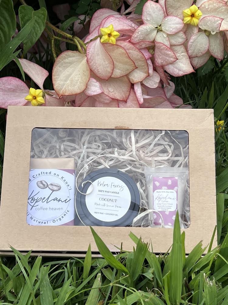Spa Kit (Lg)